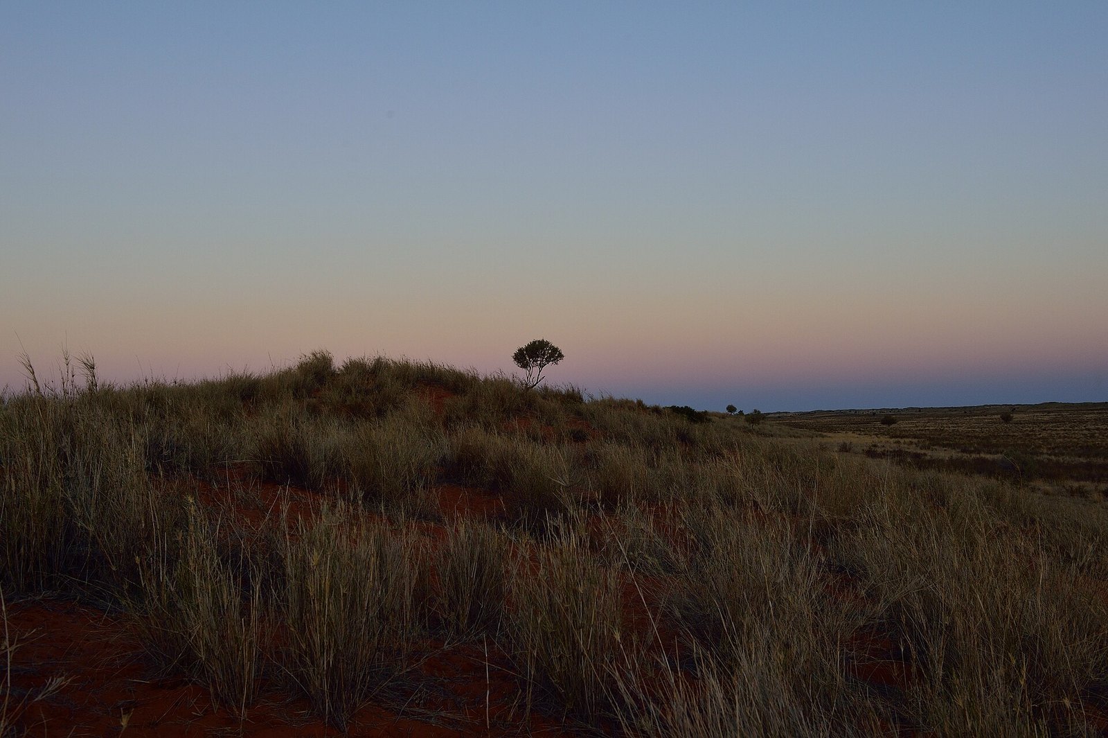 Kalahari grasslands, Botswana