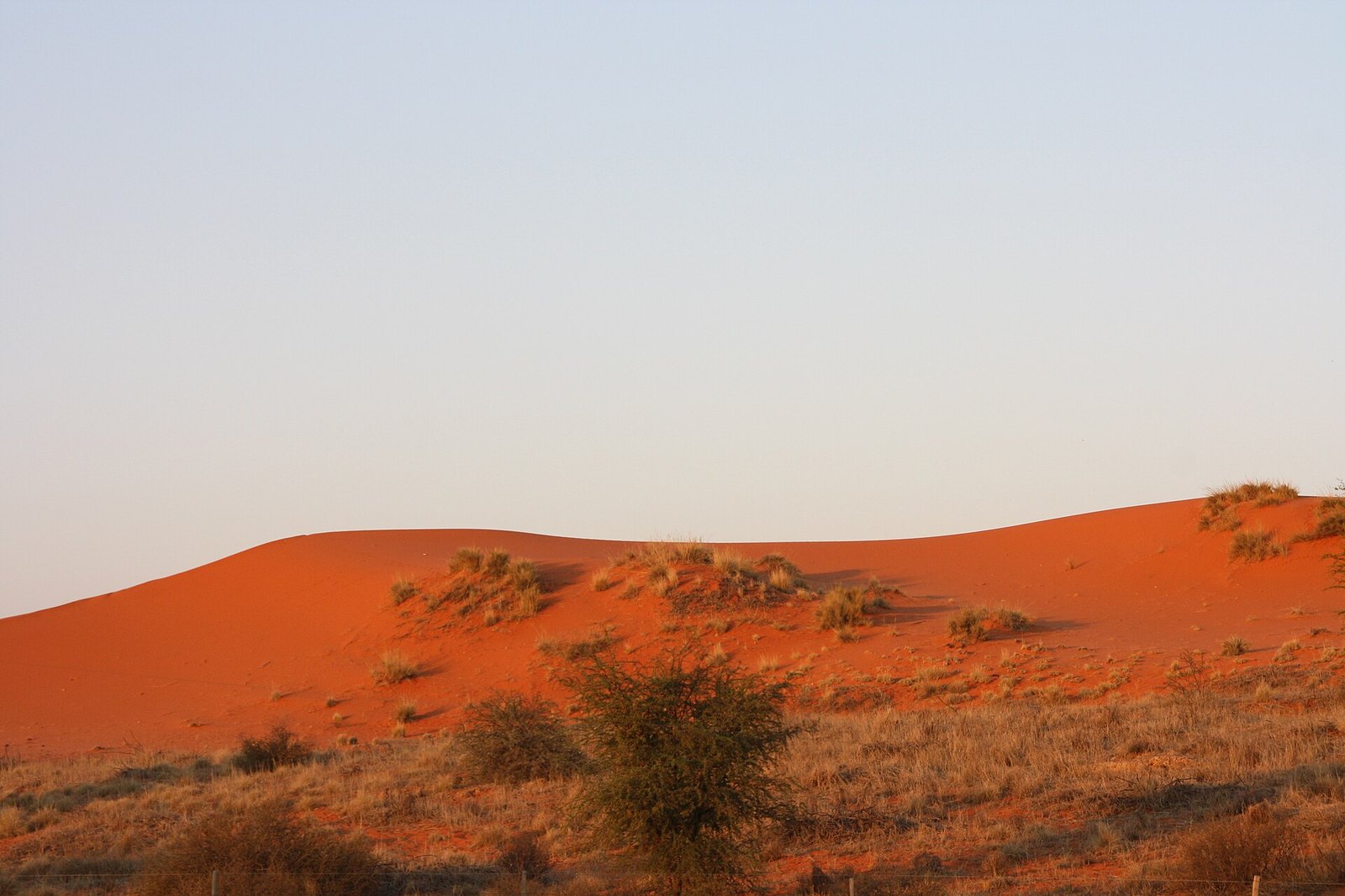 Kalahari Desert — luxury safari landscape and wildlife