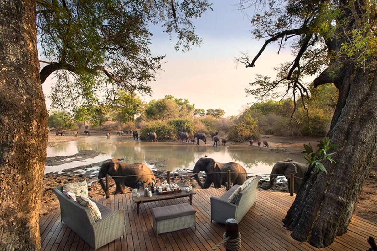 The open deck of a small off-grid camp in Mana Pools looking out over the bush