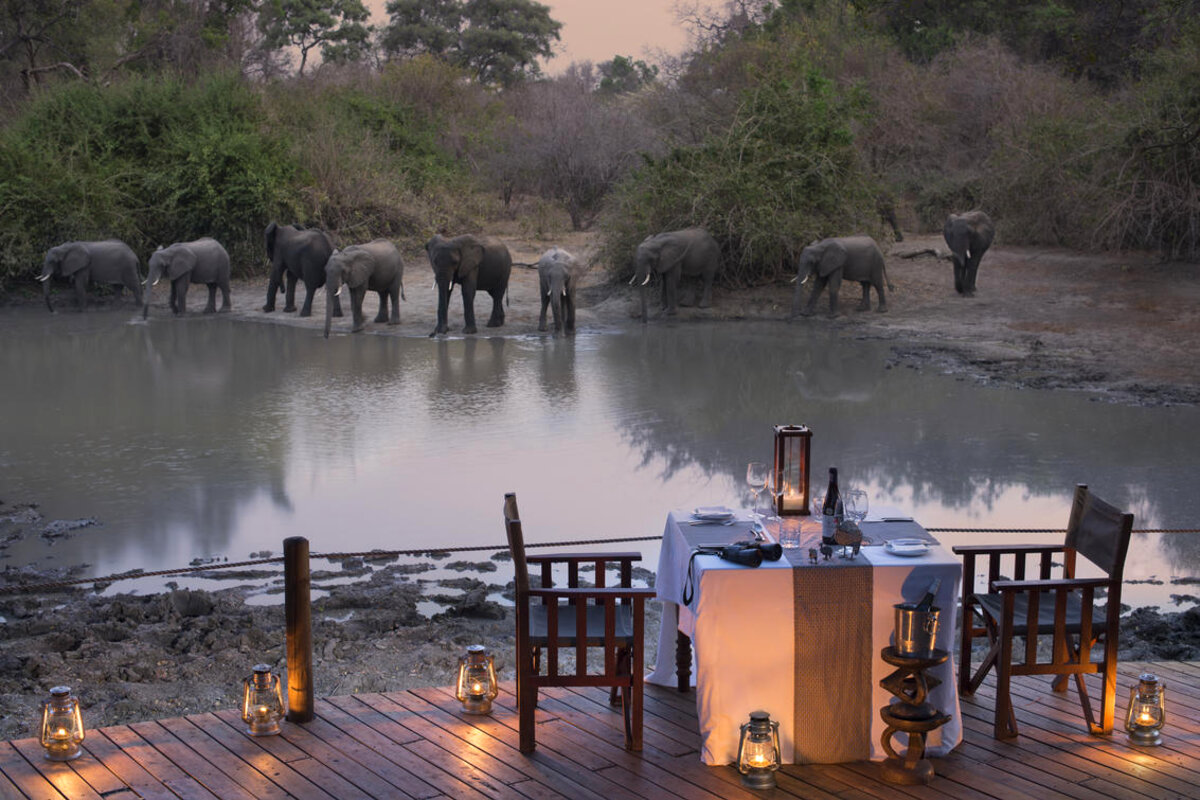 Elephants at a waterhole in front of a remote Mana Pools camp far from any signal