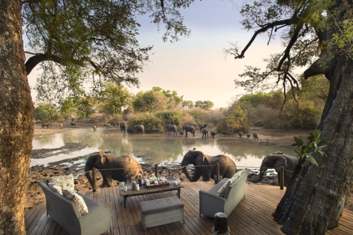 A simple, elegant tent interior at an off-grid Mana Pools camp with solar lighting
