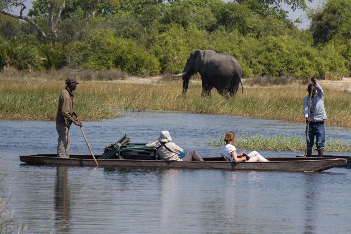 Guests glide past a wading elephant in a mokoro canoe on the Okavango Delta in Botswana