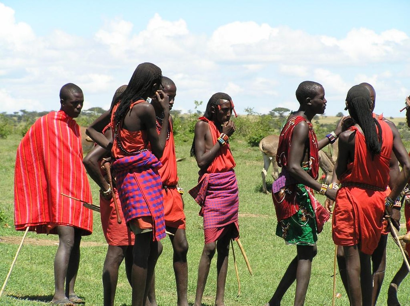 Maasai warriors in traditional red shukas gather in Kenya's Masai Mara