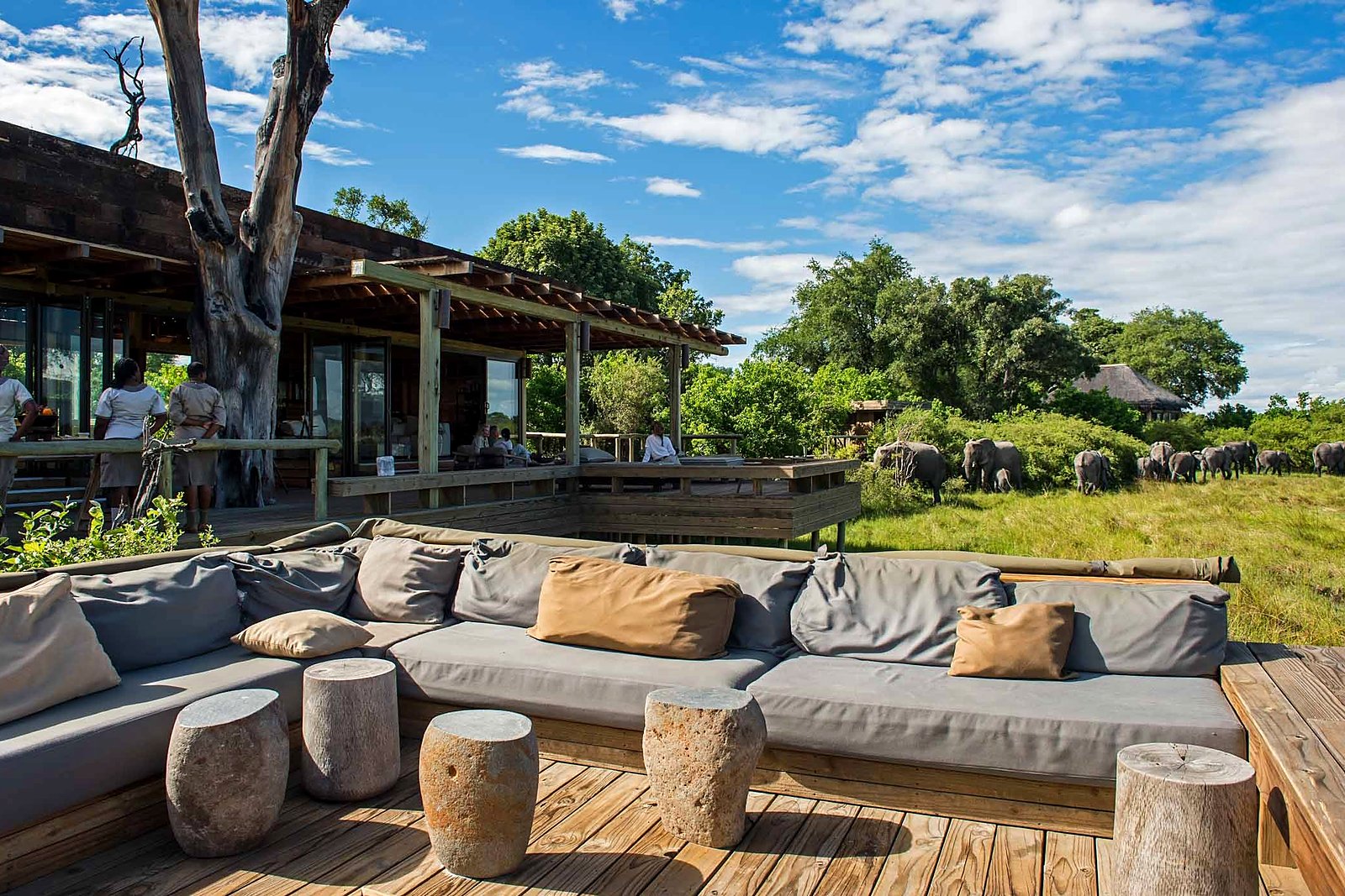 Sable Alley lounge and firepit under the stars, Khwai Private Reserve