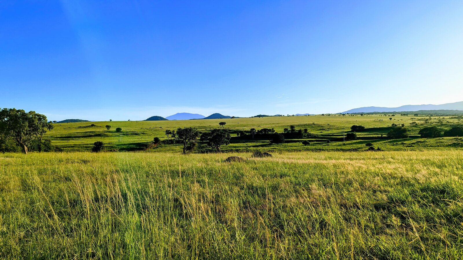 Narus Valley savannah, Kidepo Valley National Park, Uganda — Africa's most remote frontier park