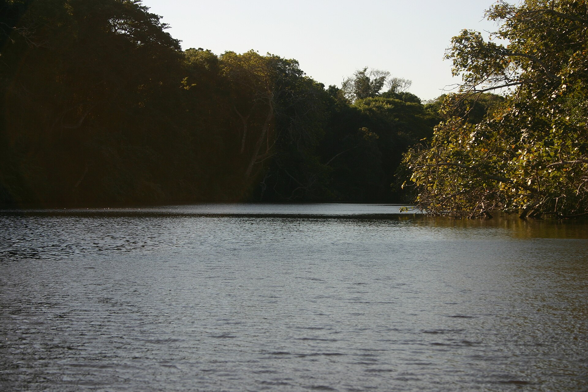 A fisherman in a traditional boat on a forest-fringed channel at Kosi Bay