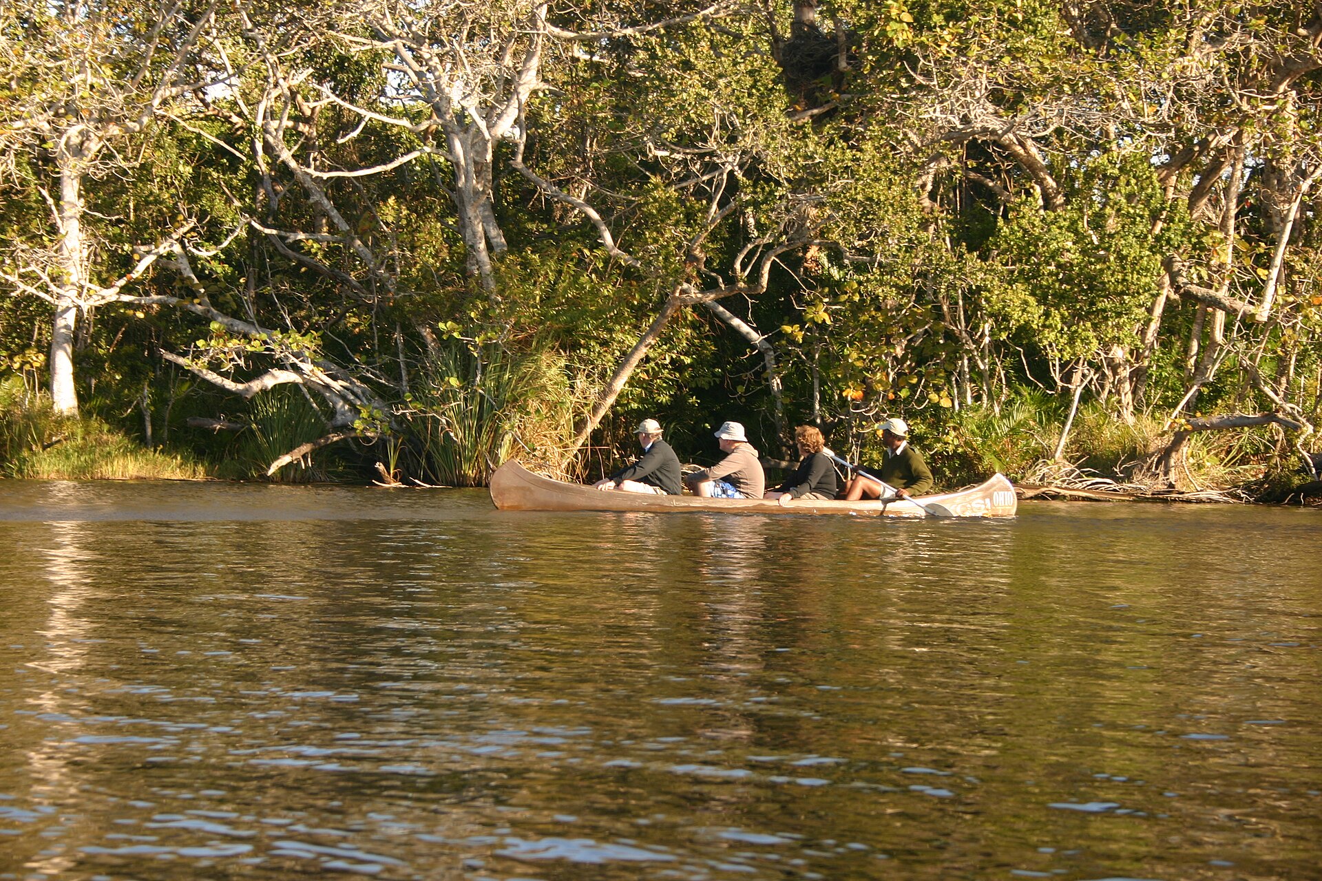 People canoeing on a forest-fringed lagoon at Kosi Bay in Maputaland