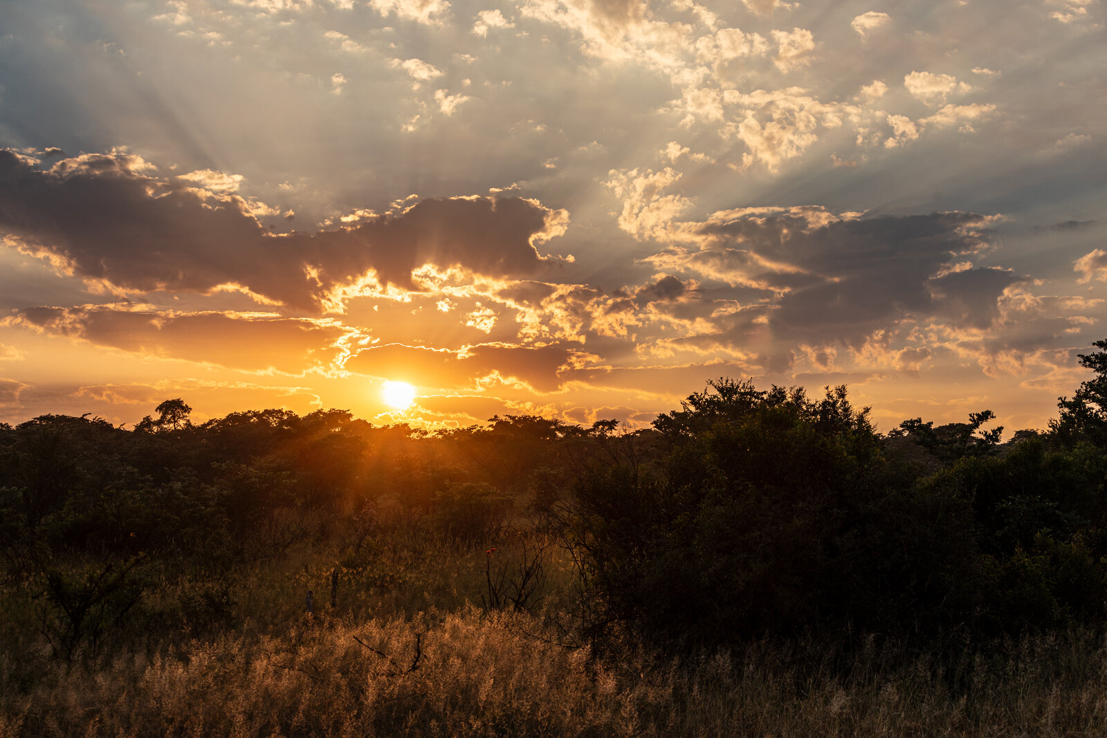 A family enjoying sundowners in the bush on a South African safari