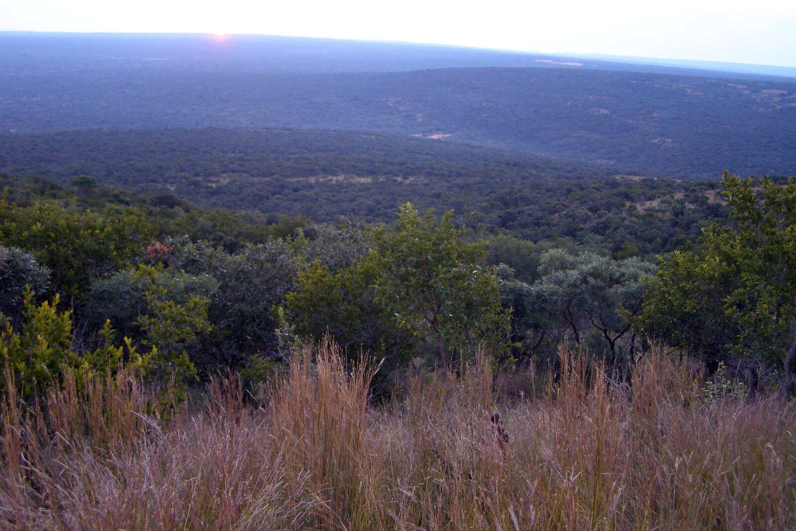 Dusk over the Kruger wilderness
