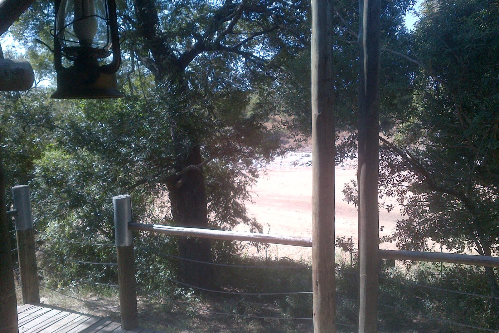 A view through the screened window of a safari room into the bush