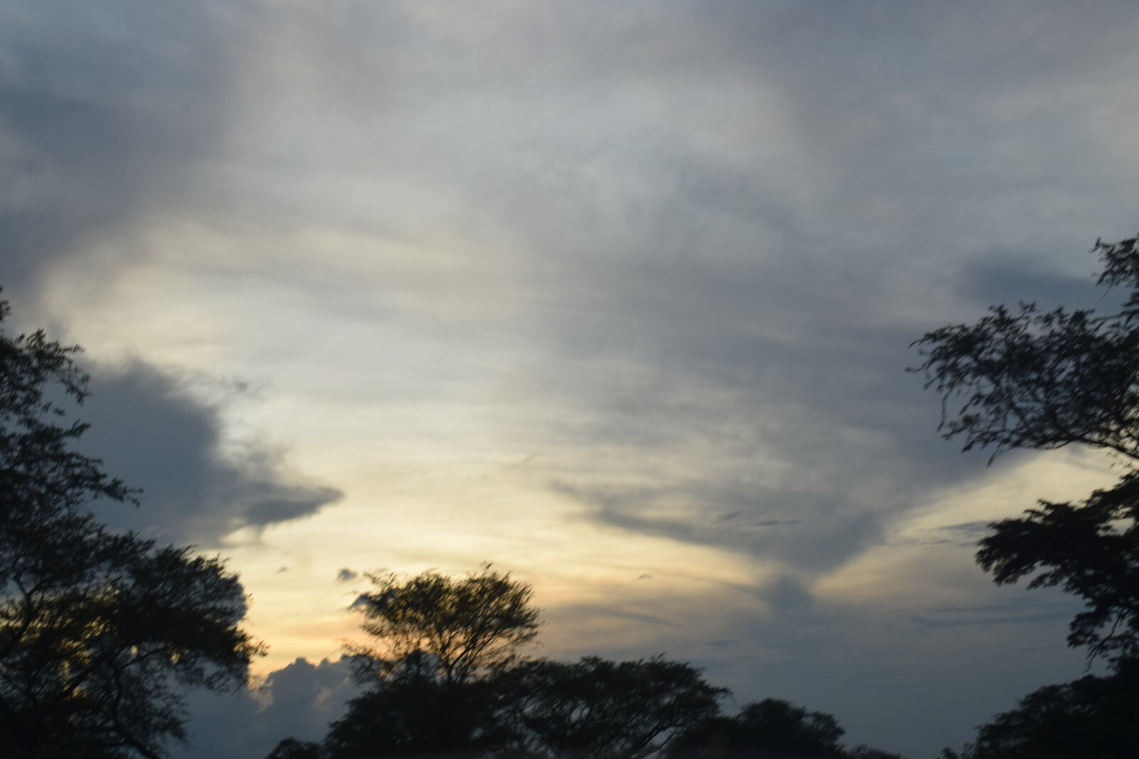 Moody clouds with the sun breaking through above a tree silhouette