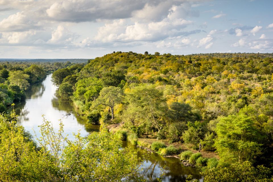 The Sabie River winding through riverine forest in southern Kruger National Park &mdash; Beyond Africa Safaris