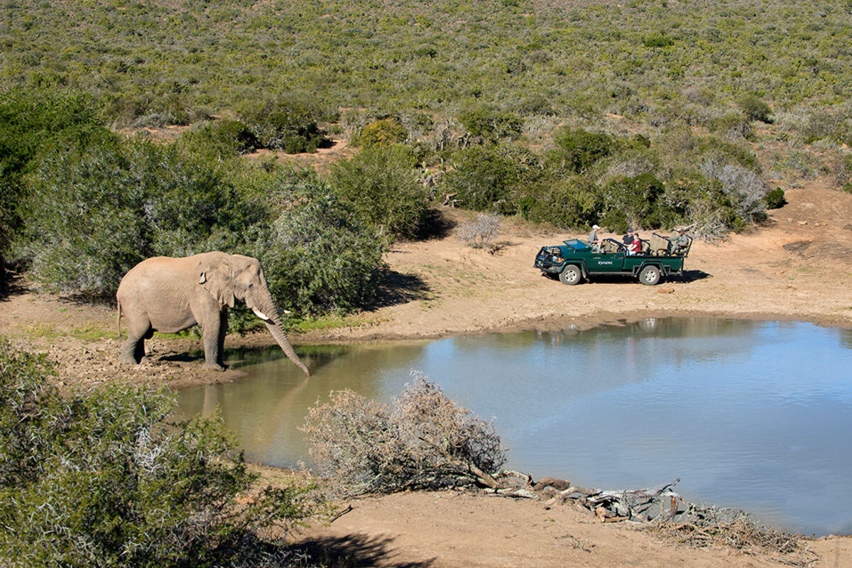 An elephant at a waterhole with a game-drive vehicle at Kwandwe Private Game Reserve