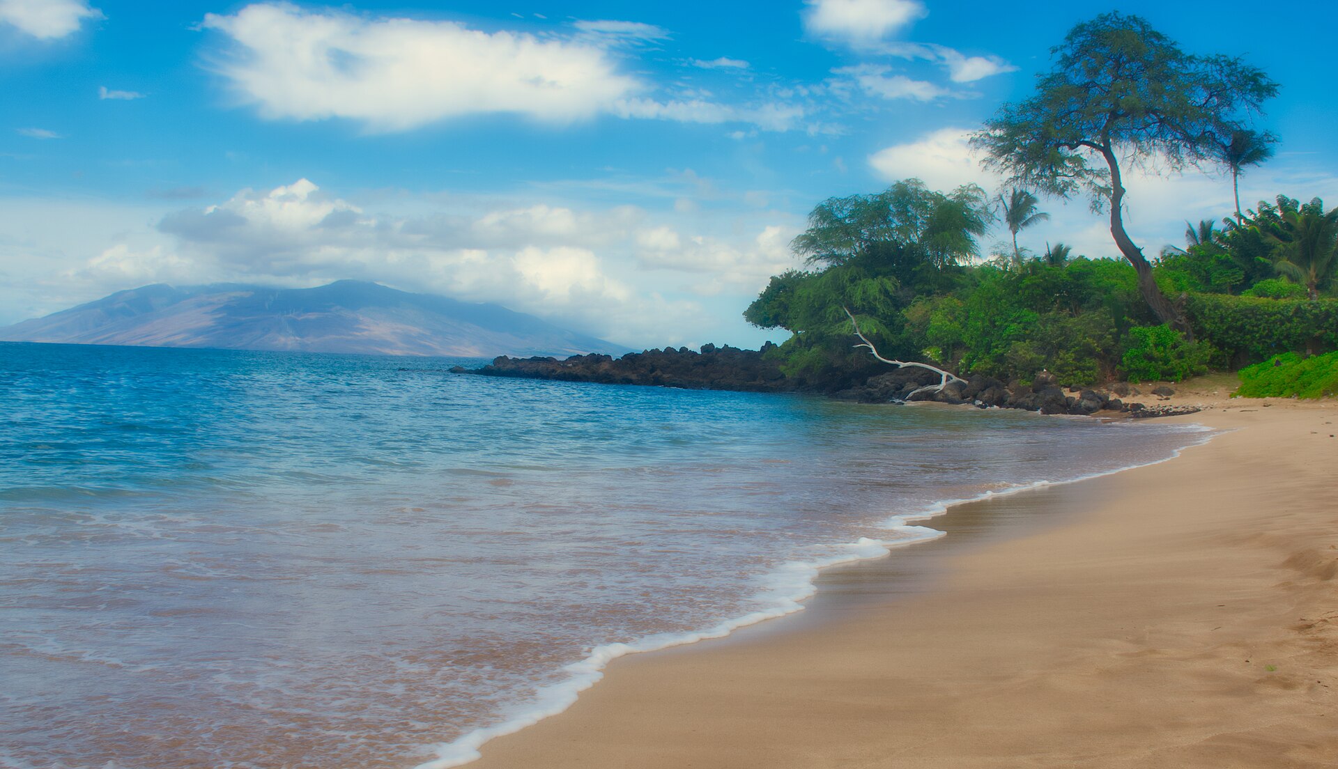 A wild, remote beach backed by dune forest on the Maputaland coast