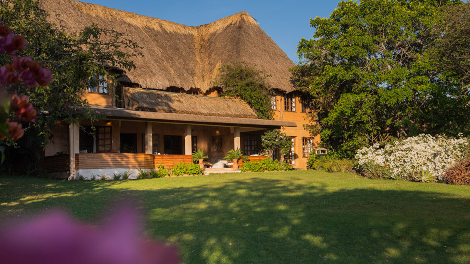 Golden-hour game viewing on the Lewa plains