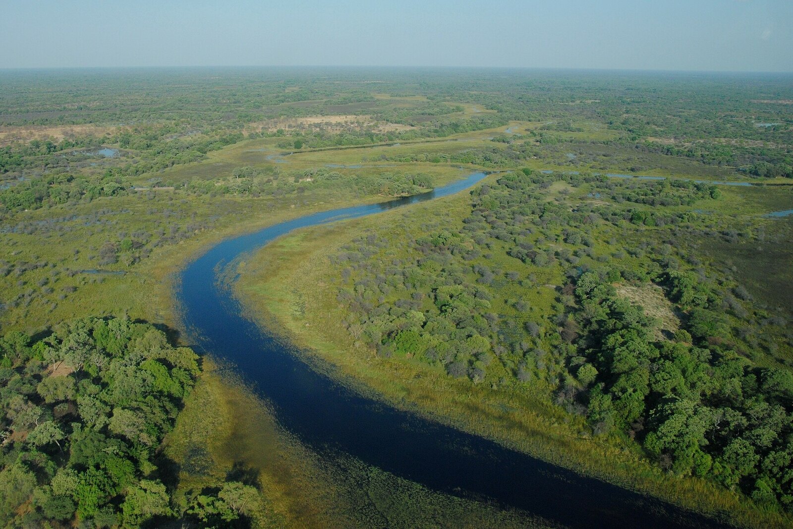 Aerial view of the Selinda Spillway winding through the green floodplains of northern Botswana