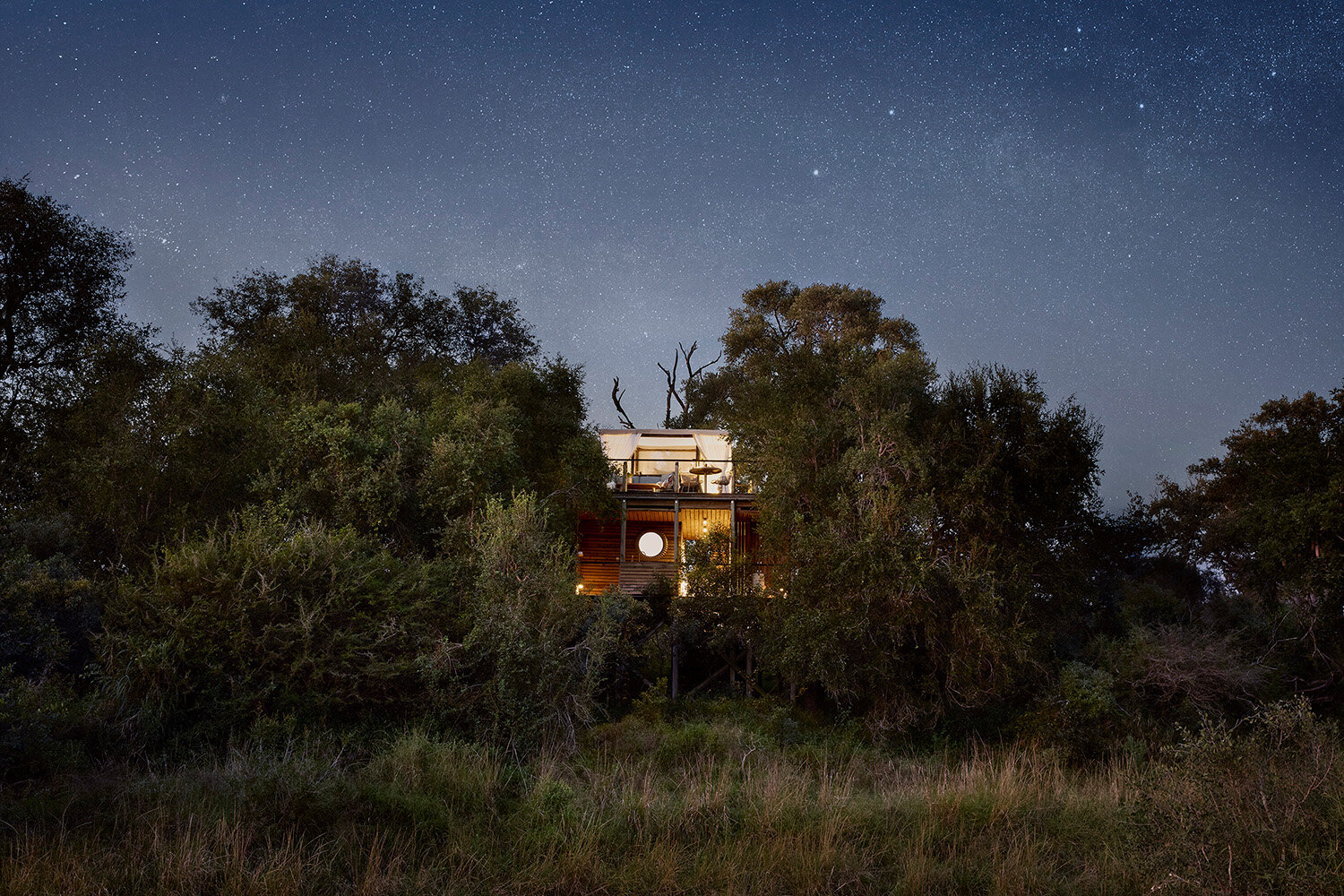 Lion Sands treehouse lit up under a starry sky for an overnight sleep-out