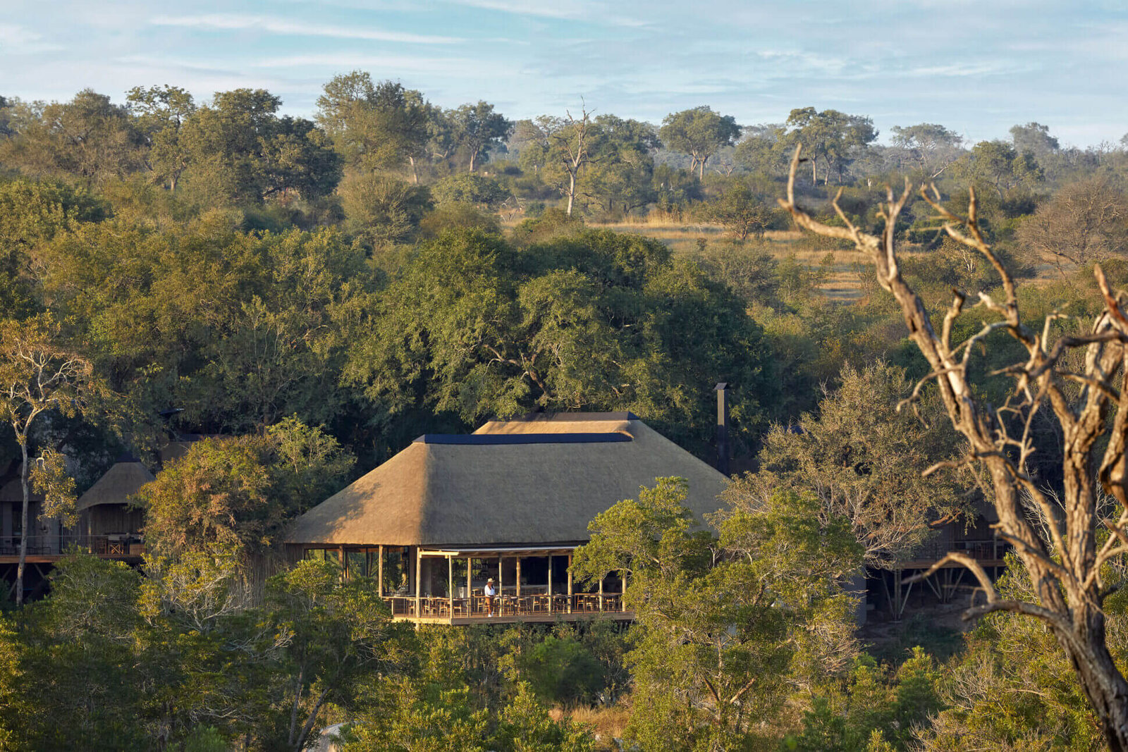 Londolozi Founders Camp's thatched suites among riverine trees at golden hour