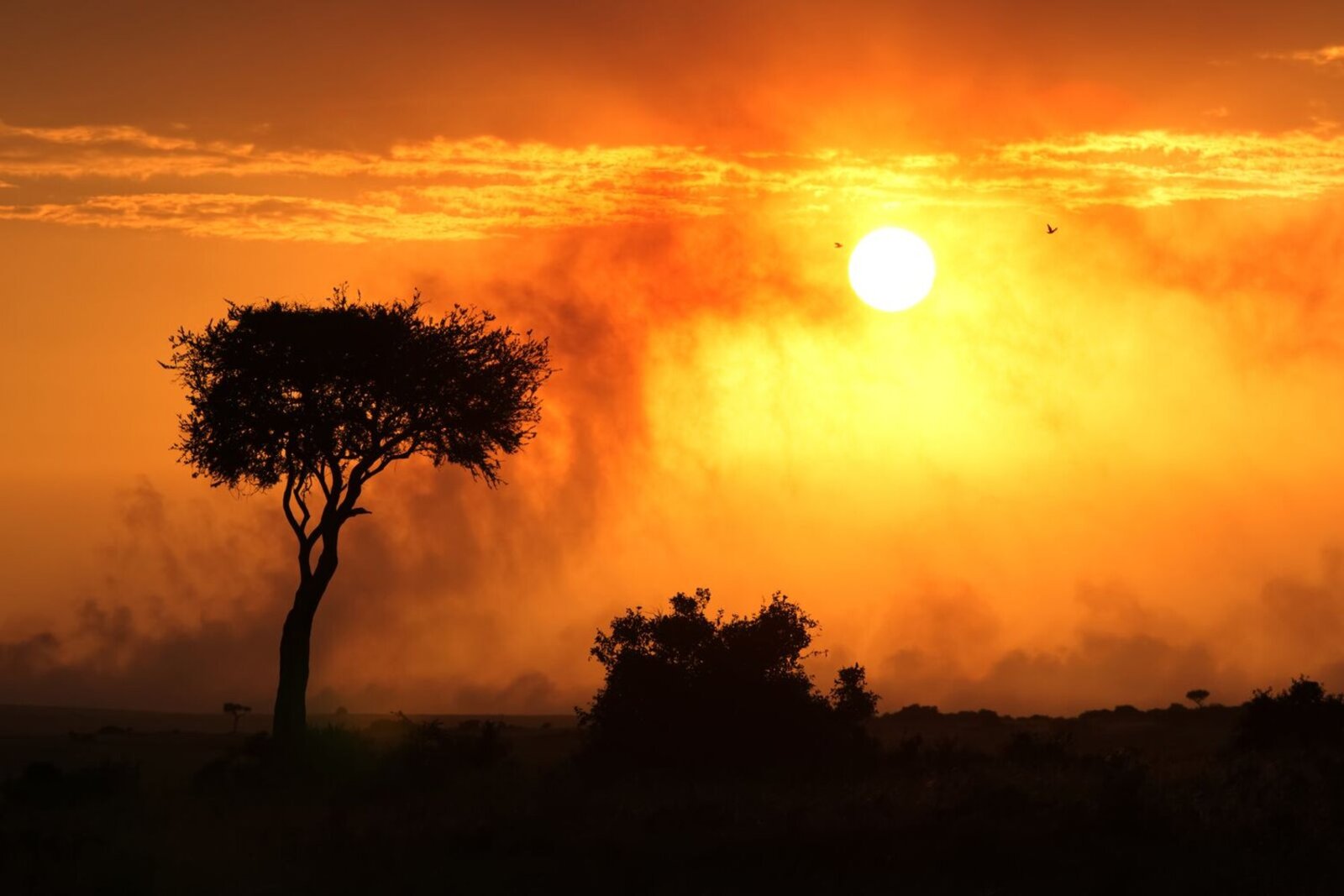 Sundowners on the Luangwa River