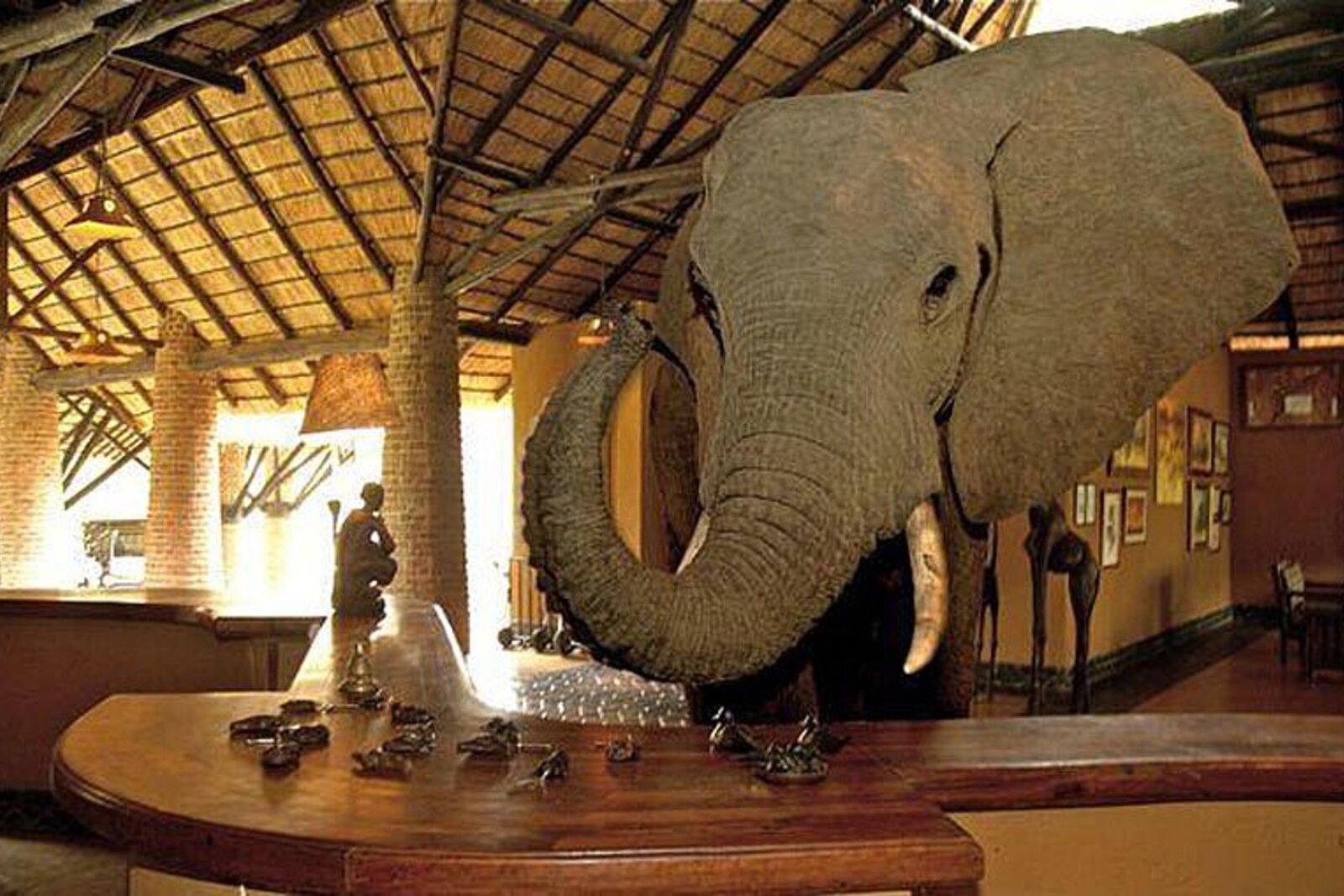 Riverside lodge suite in South Luangwa
