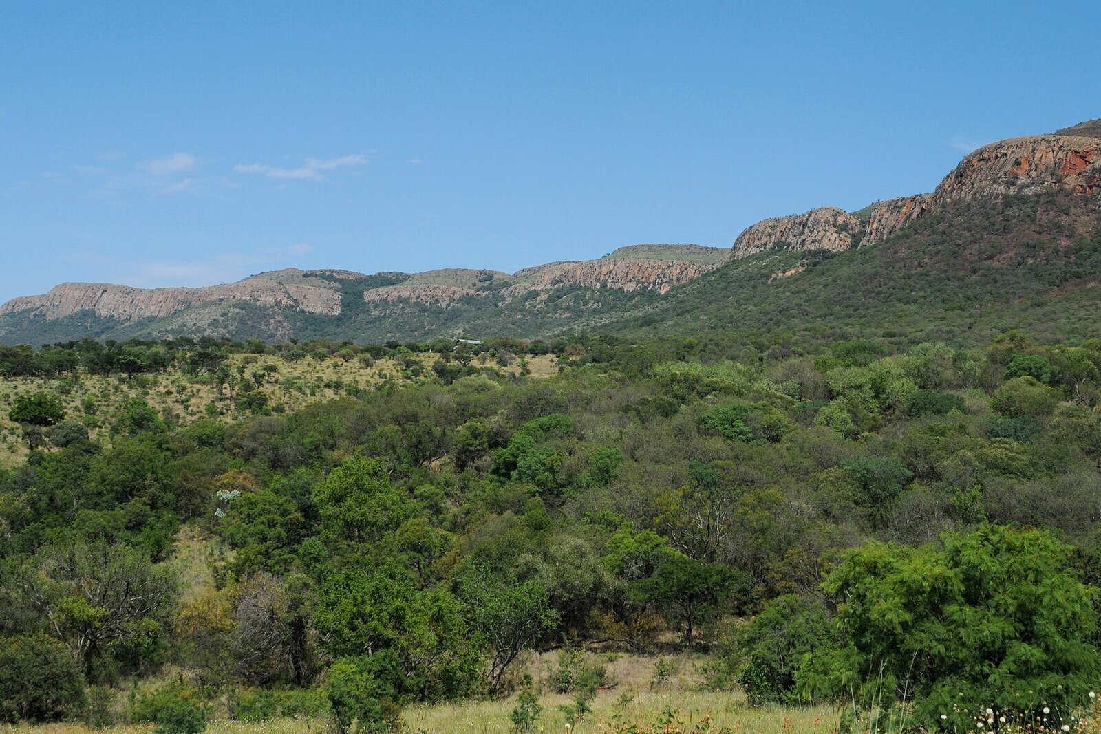 Bushveld landscape in Madikwe Game Reserve