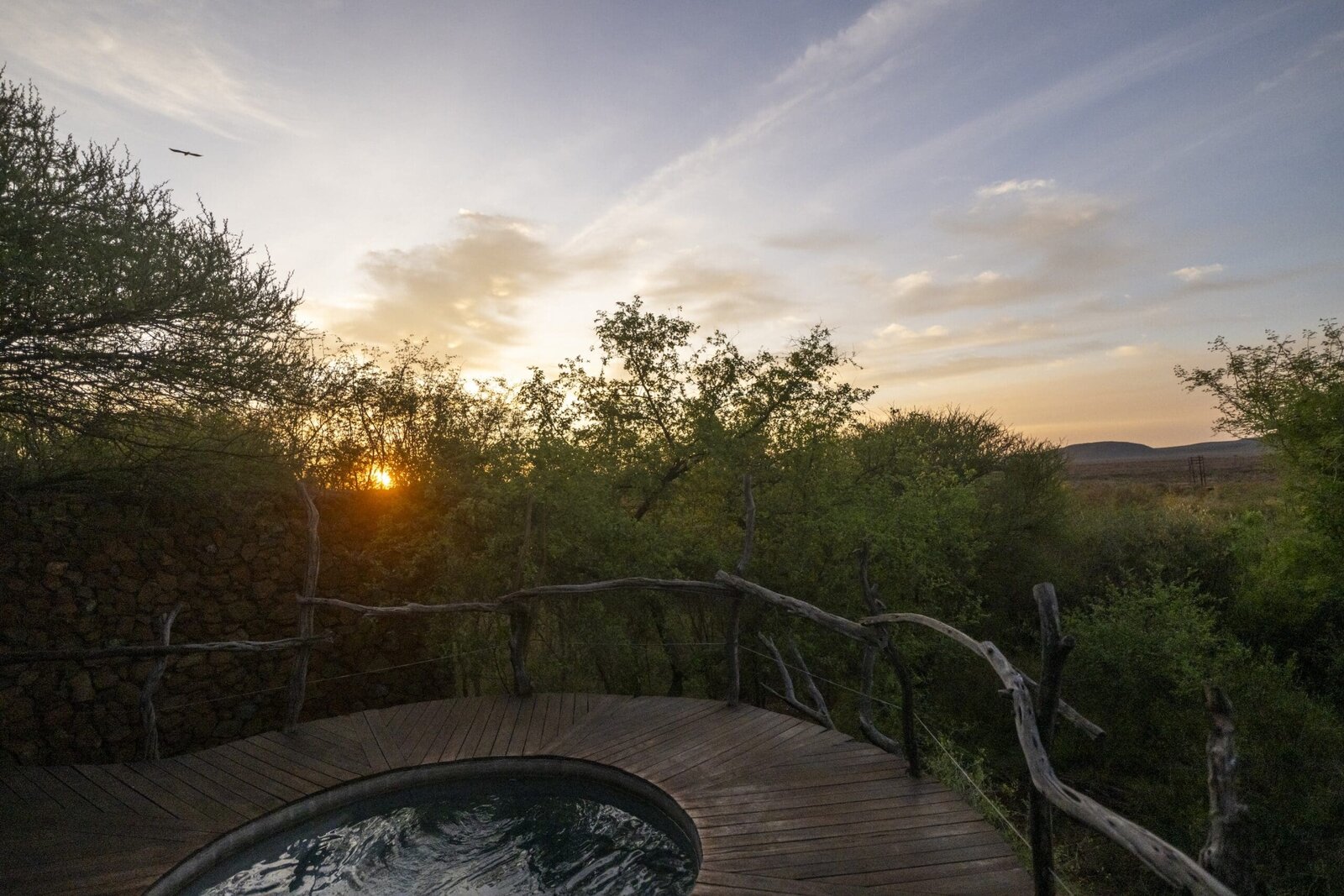 Madikwe Safari Lodge Dithaba camp pool with escarpment views