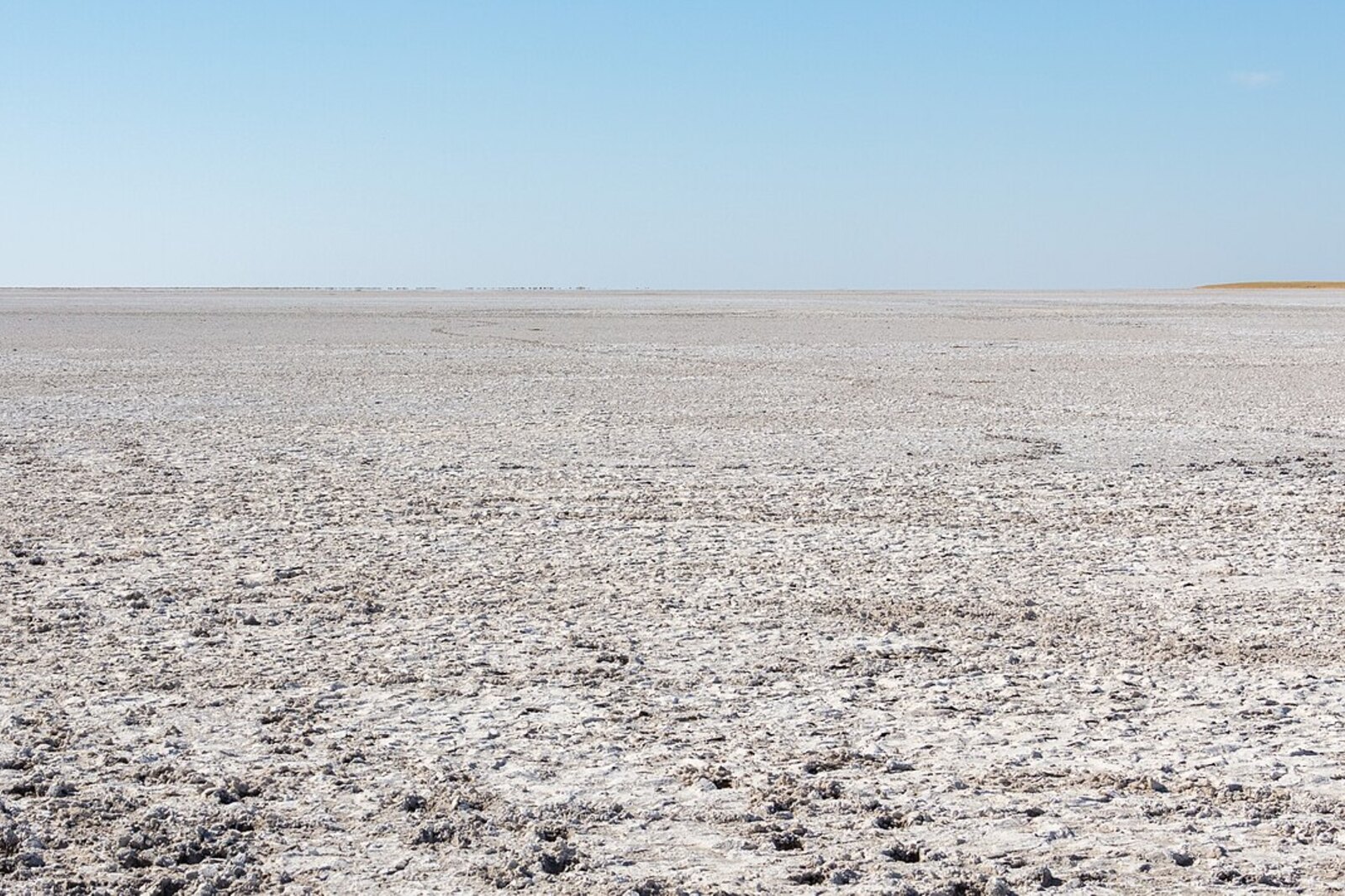 The vast white expanse of the Makgadikgadi — one of Earth’s largest salt-pan systems