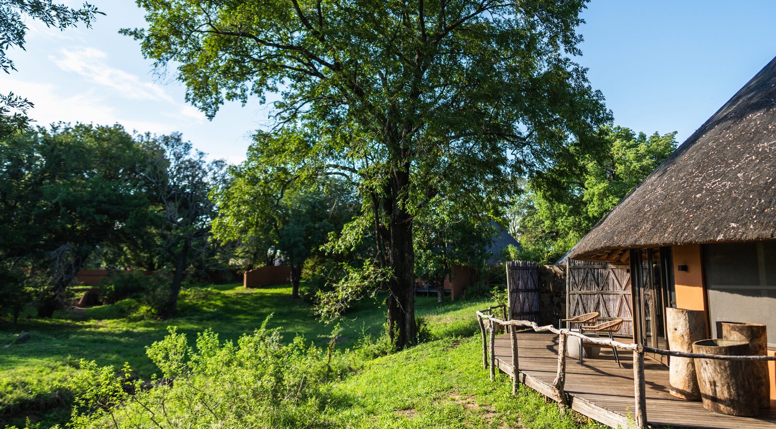 Exterior view of MalaMala camp with thatched roofs and manicured lawns beneath riverine trees