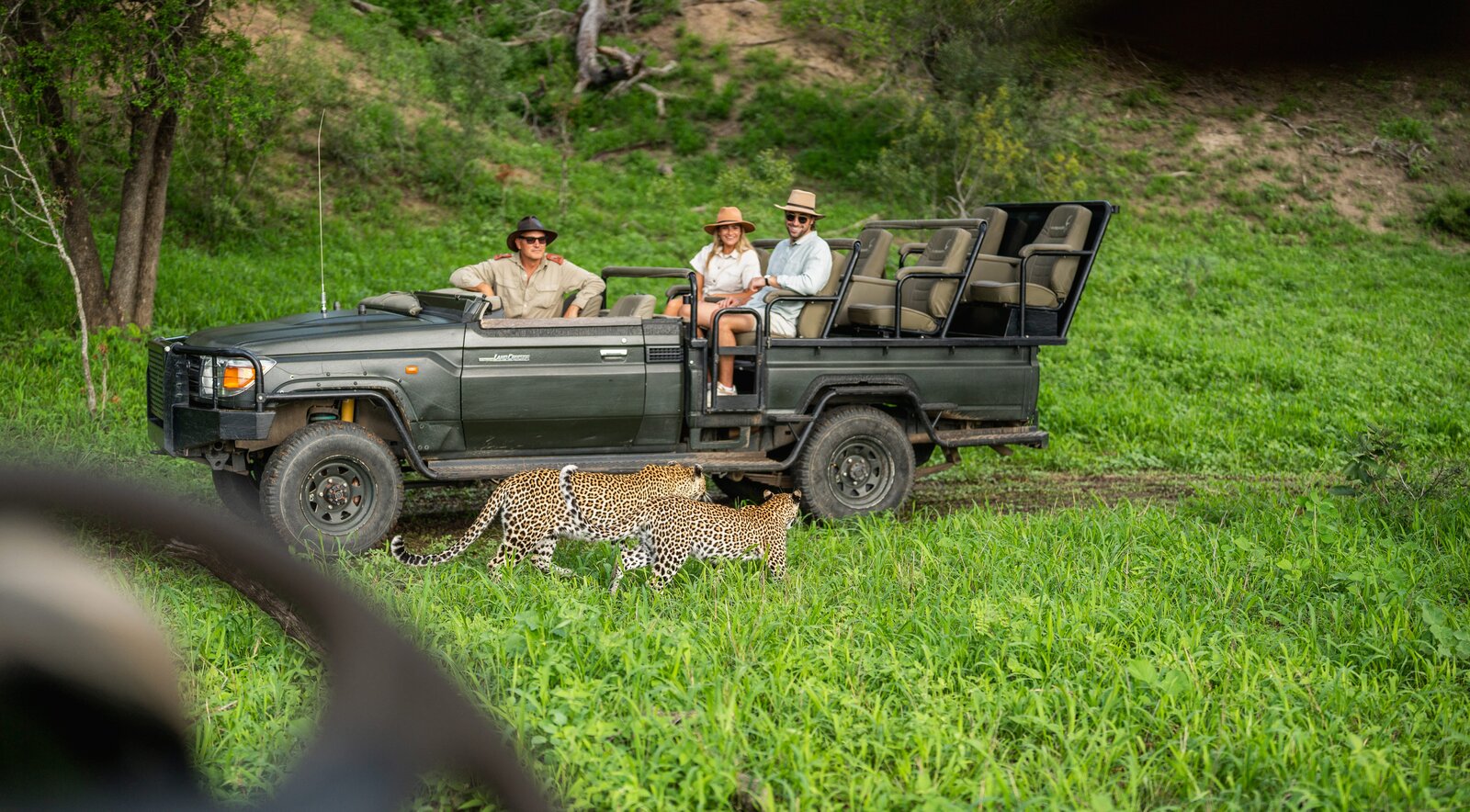 Guests on a game drive at MalaMala in the green season with expert guide and tracker