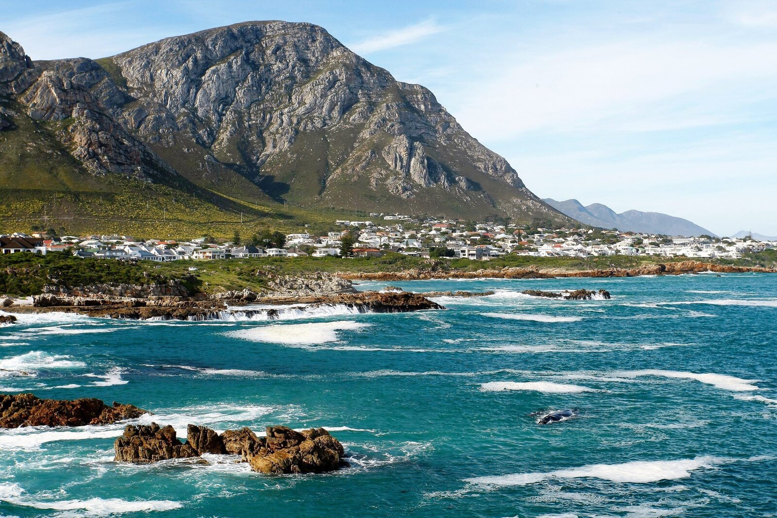 The whale-watching coastline at Hermanus with whales close to shore