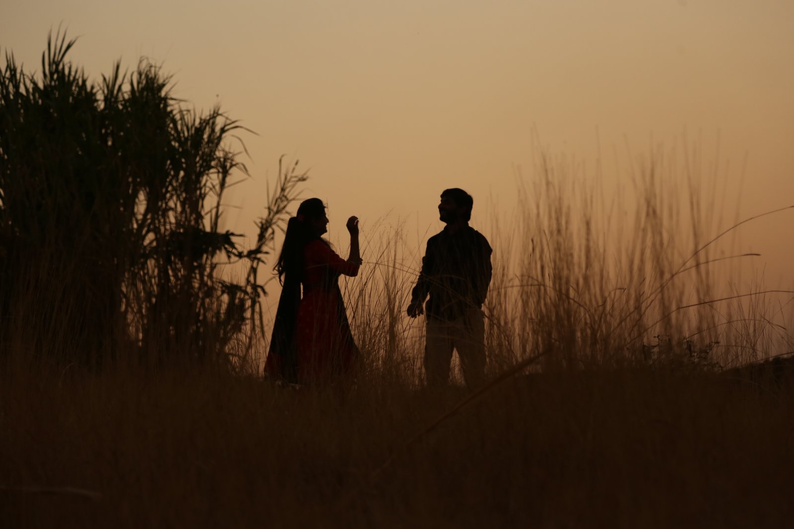 Champagne sundowners in the bush at golden hour