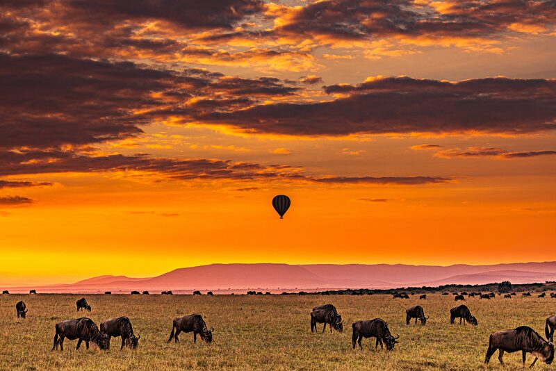 Safari vehicle at sunset in the Masai Mara