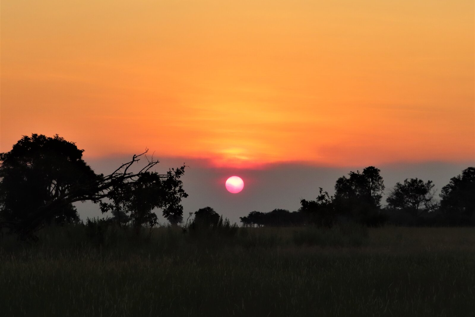 Golden sunset over the Masai Mara