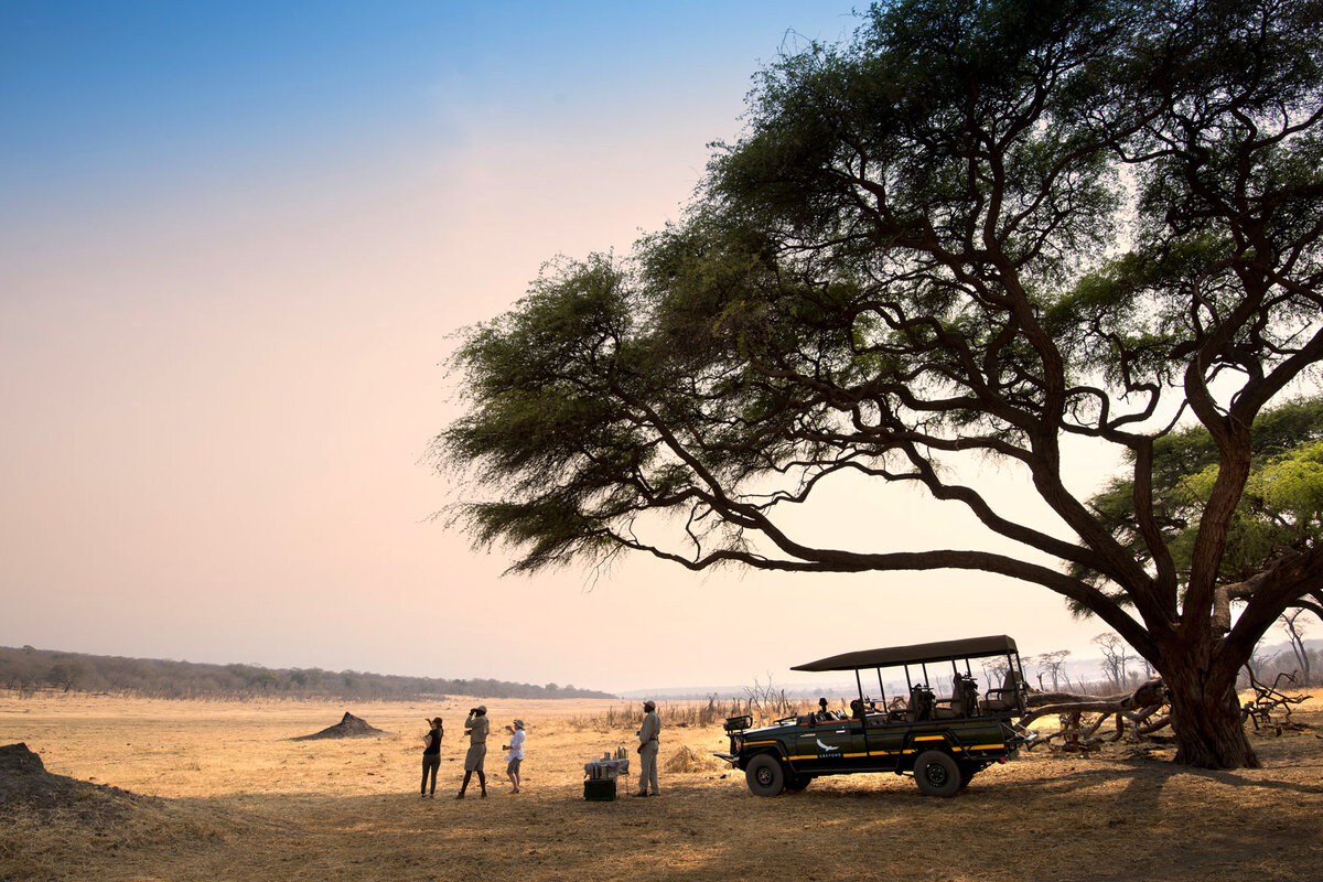 Guests at a Zambezi sandbank sundowner beside a safari vehicle under an acacia