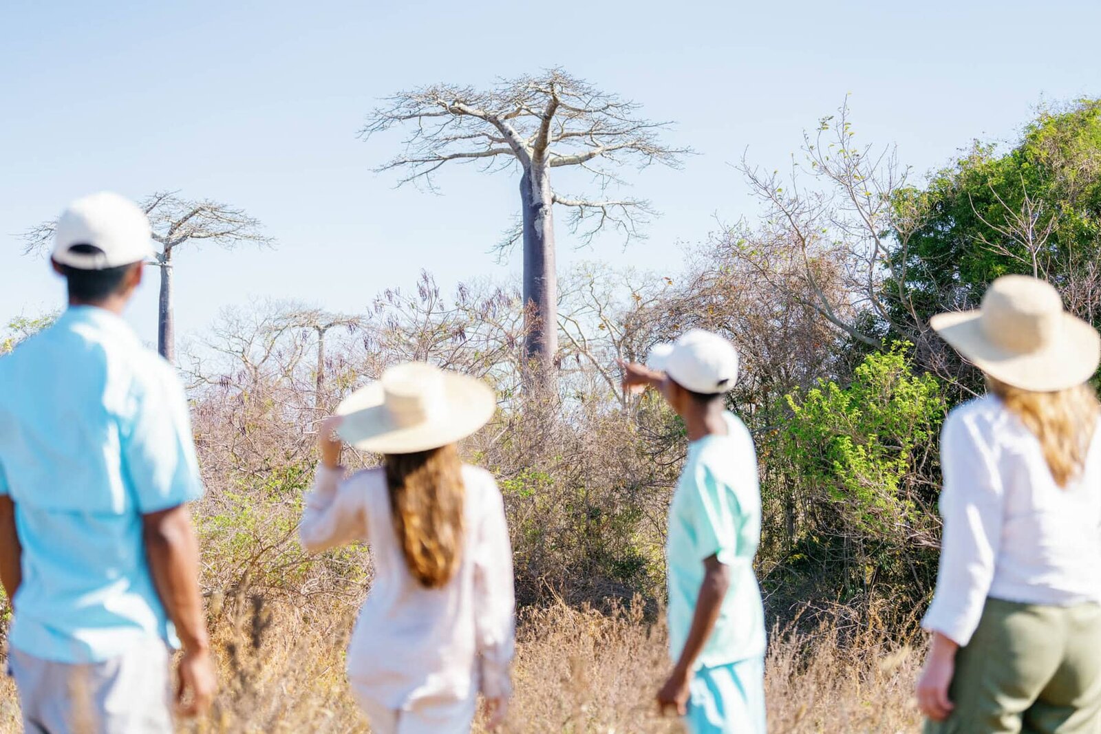 Guests walking among baobab trees on a mainland excursion from Miavana, northern Madagascar