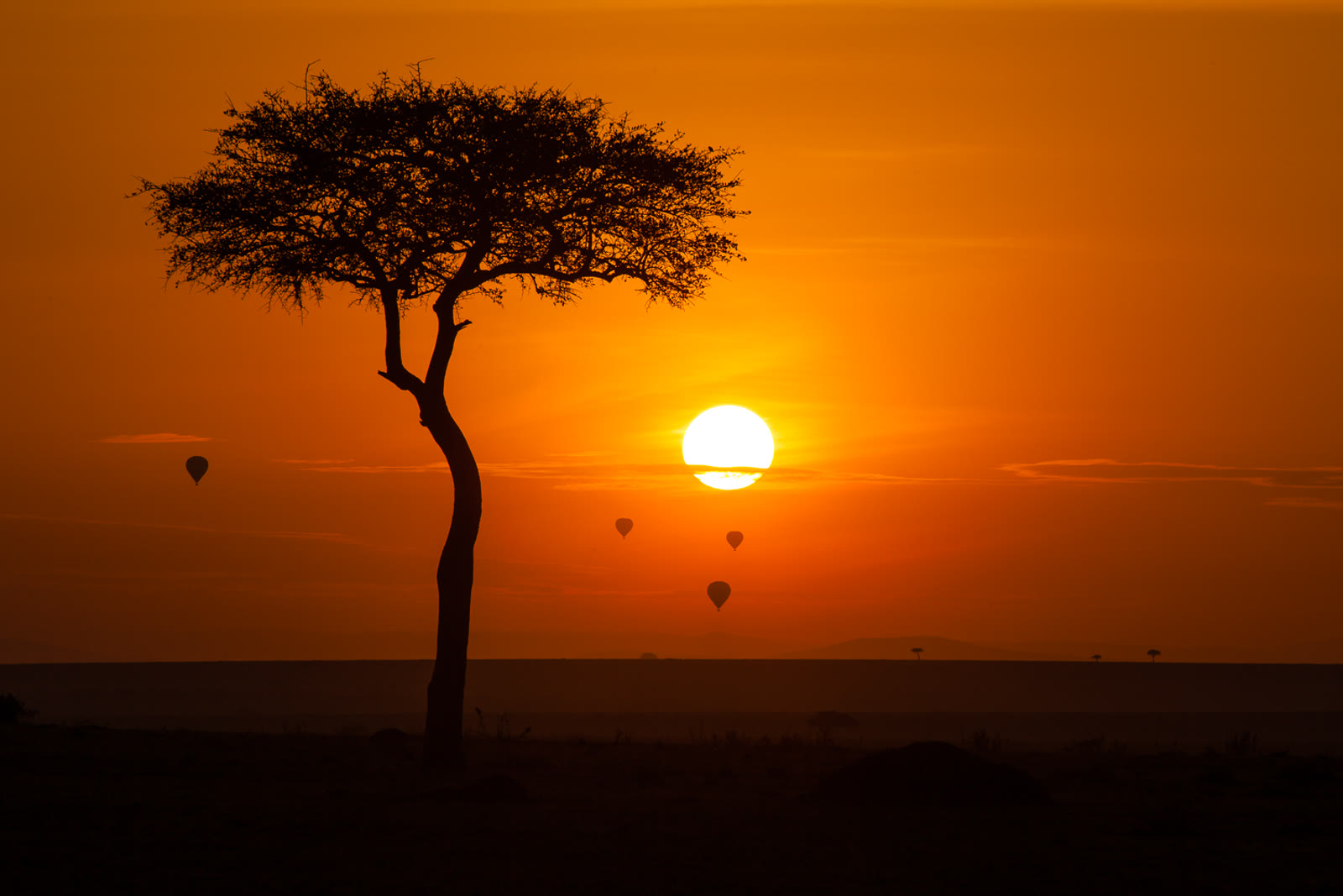 A classic acacia sunset with balloons, the romance both safaris share