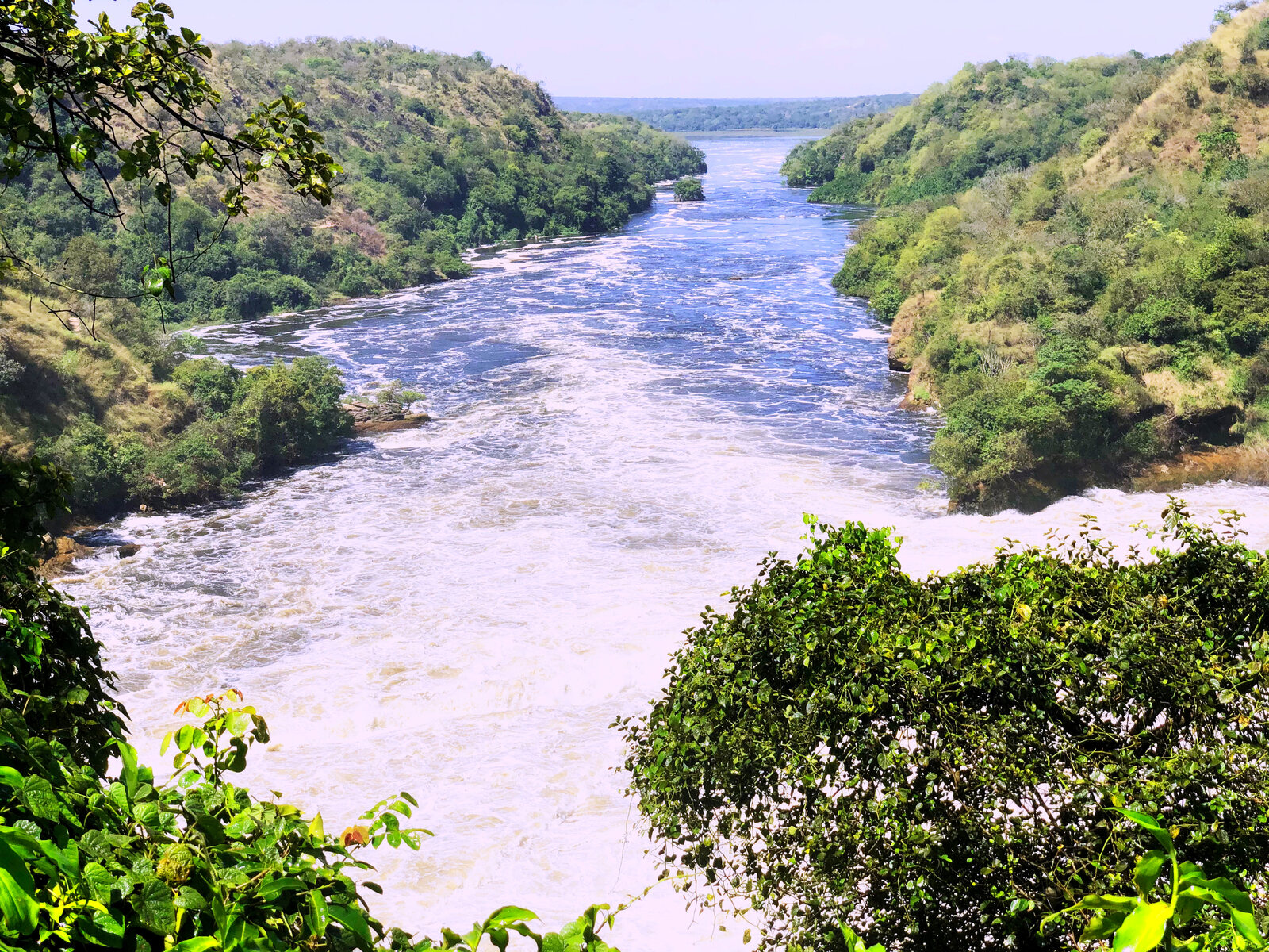The Victoria Nile forced through the gorge at the top of Murchison Falls, Uganda