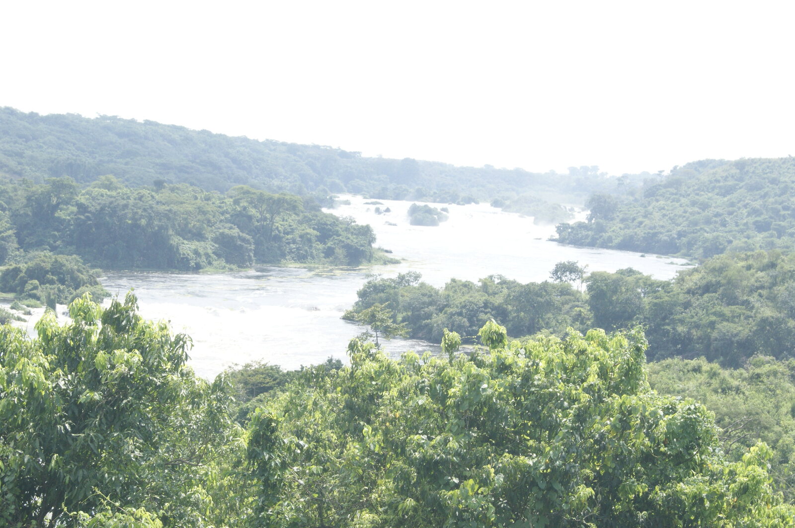 The Nile forced through the gorge at the top of Murchison Falls, Uganda