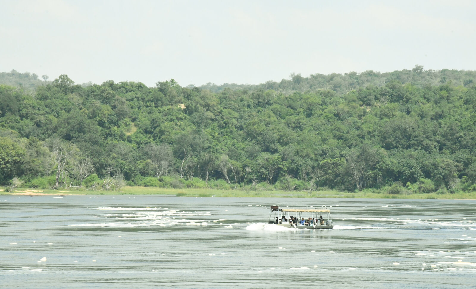 A Nile boat cruise heading to the base of Murchison Falls, Uganda