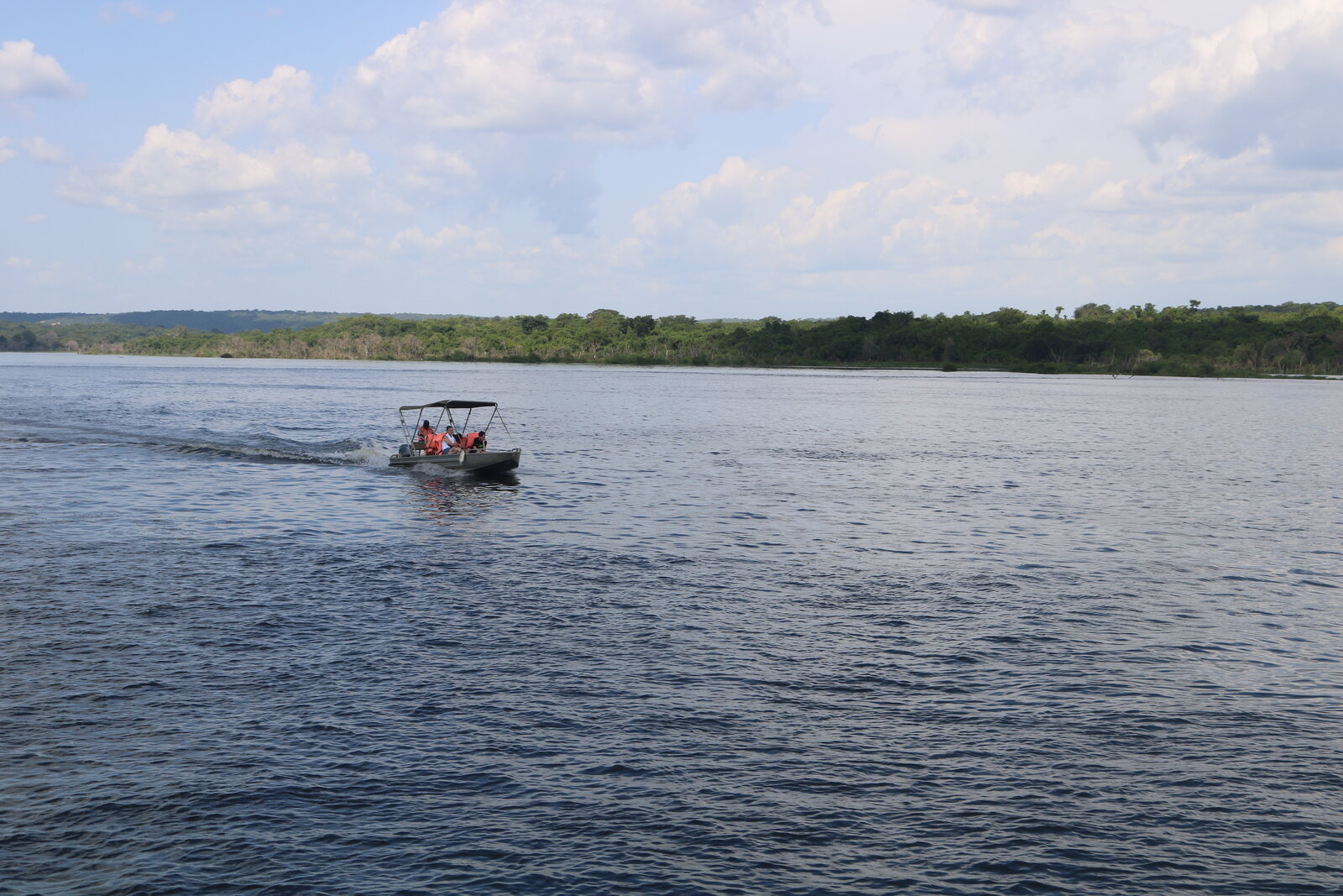Hippos in the Victoria Nile in Murchison Falls National Park, Uganda