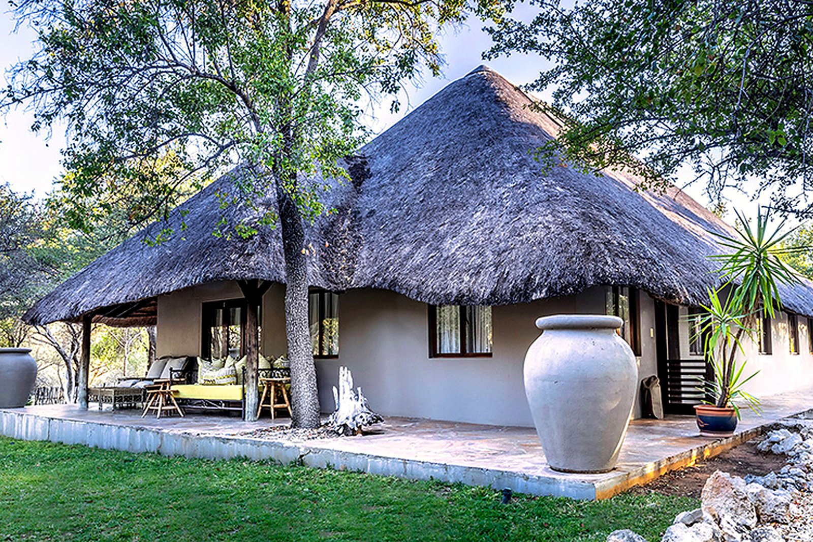 Thatched chalets among mopane trees at Mushara Lodge near Etosha