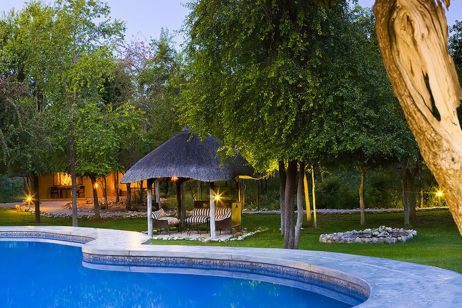 Pool terrace surrounds at Mushara Lodge near Etosha