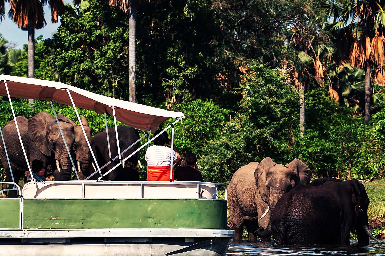 A riverside suite at Mvuu Lodge in Liwonde National Park