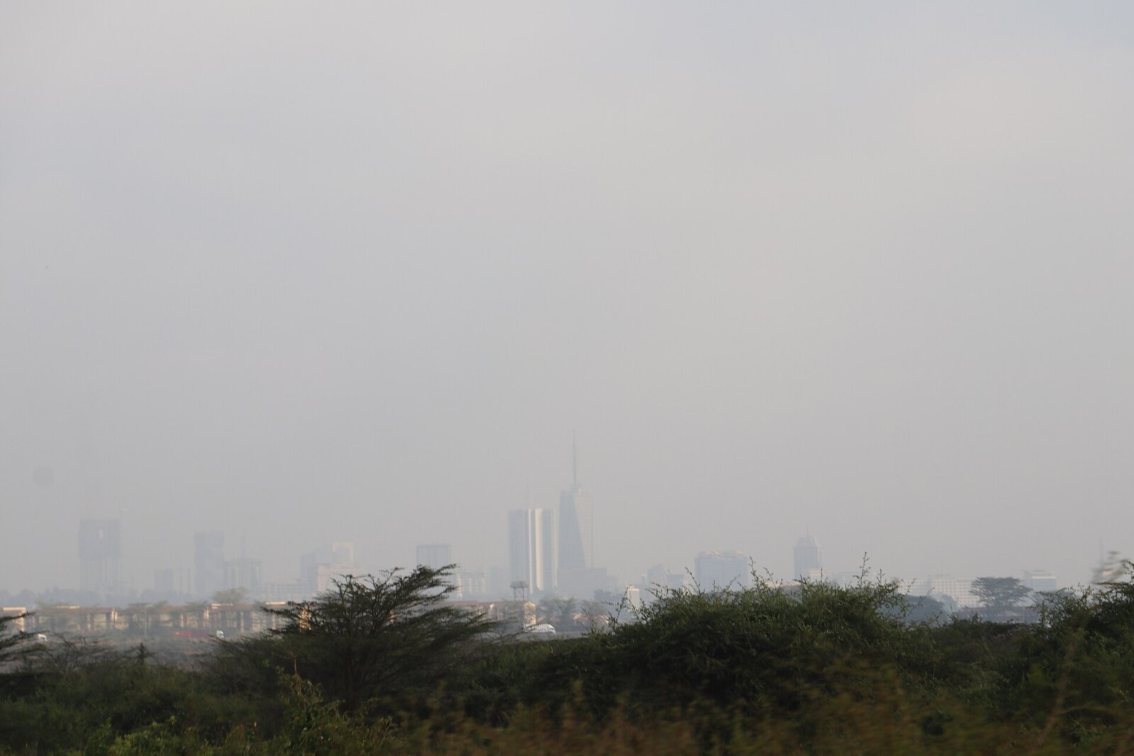 The Nairobi city skyline seen through acacia trees under a hazy sky