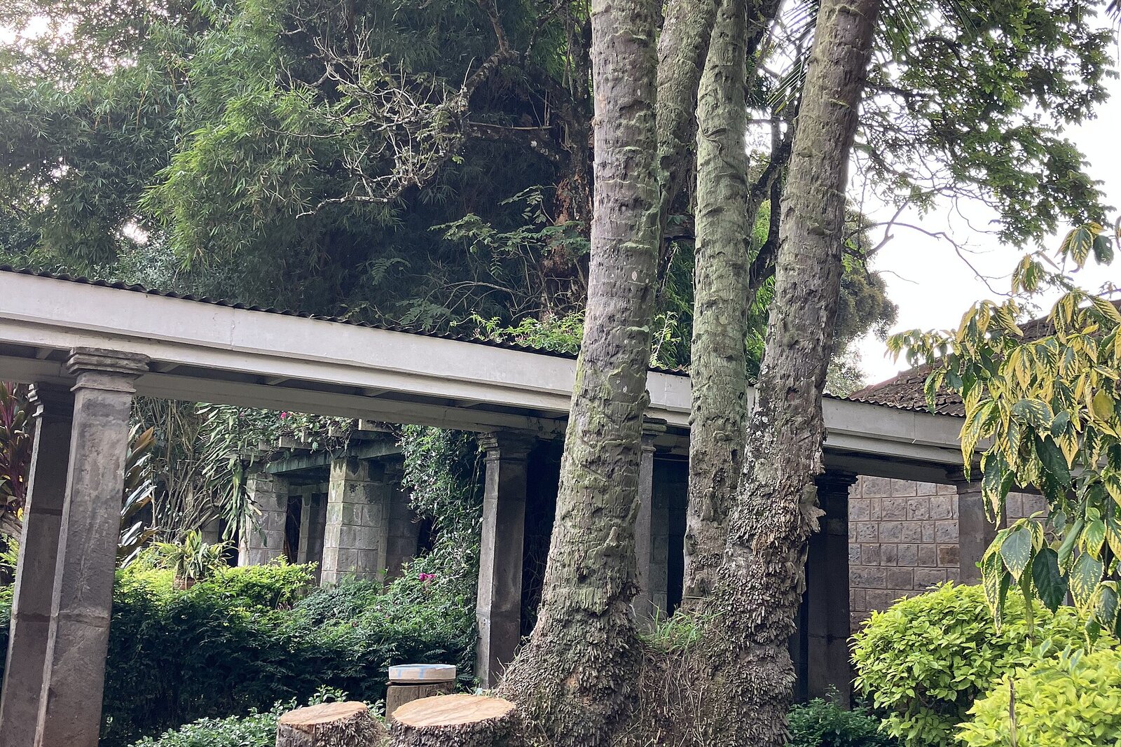 The shaded verandah of the Karen Blixen Museum