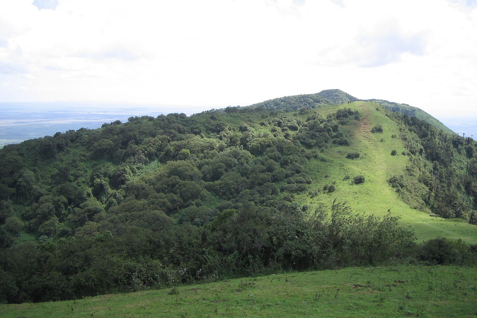The green ridgeline of the Ngong Hills above the Rift Valley near Nairobi