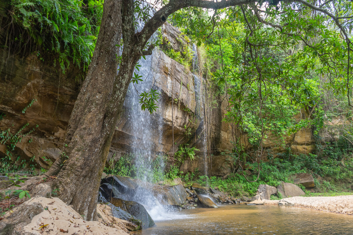 Green hills and forest of Shimba Hills National Reserve near Diani Beach Kenya