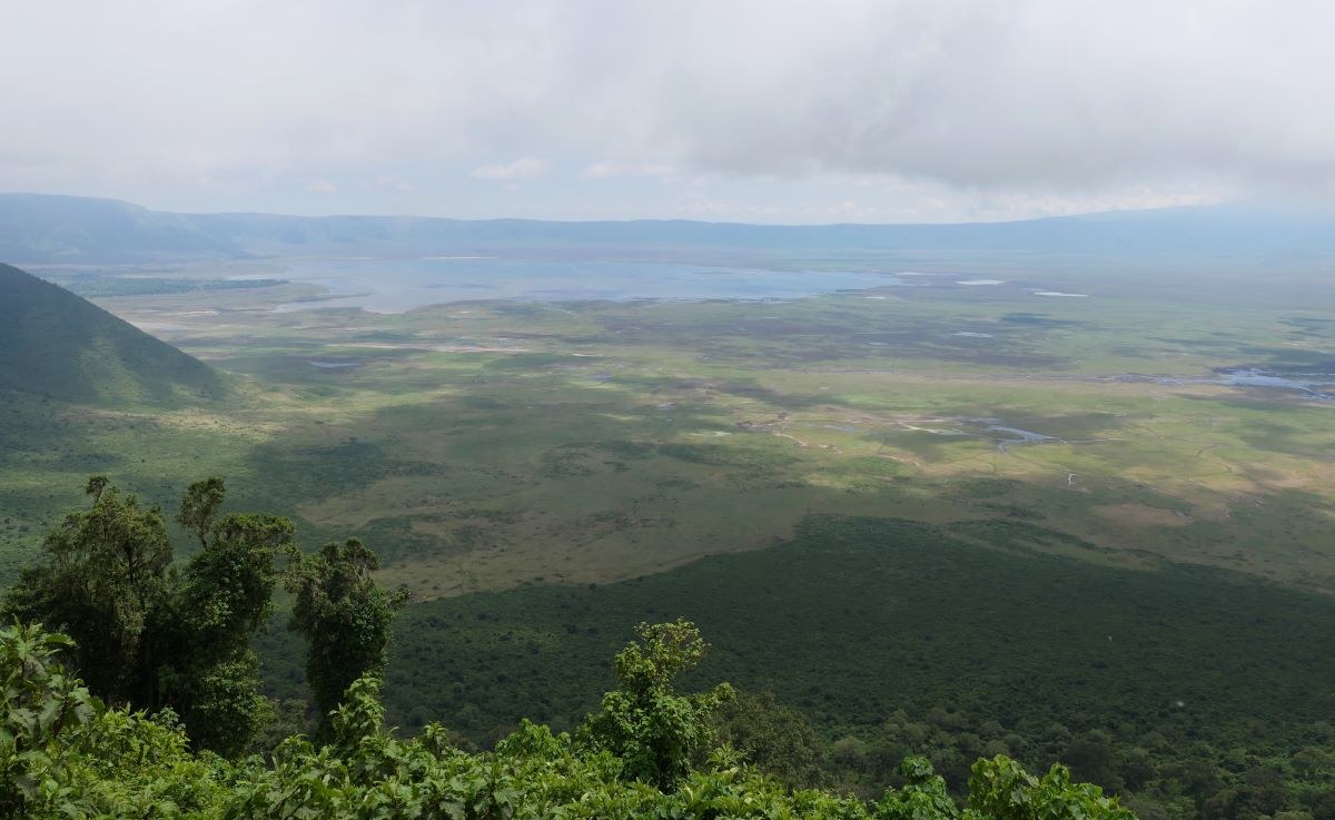 Maasai herders and cattle on the Ngorongoro highlands