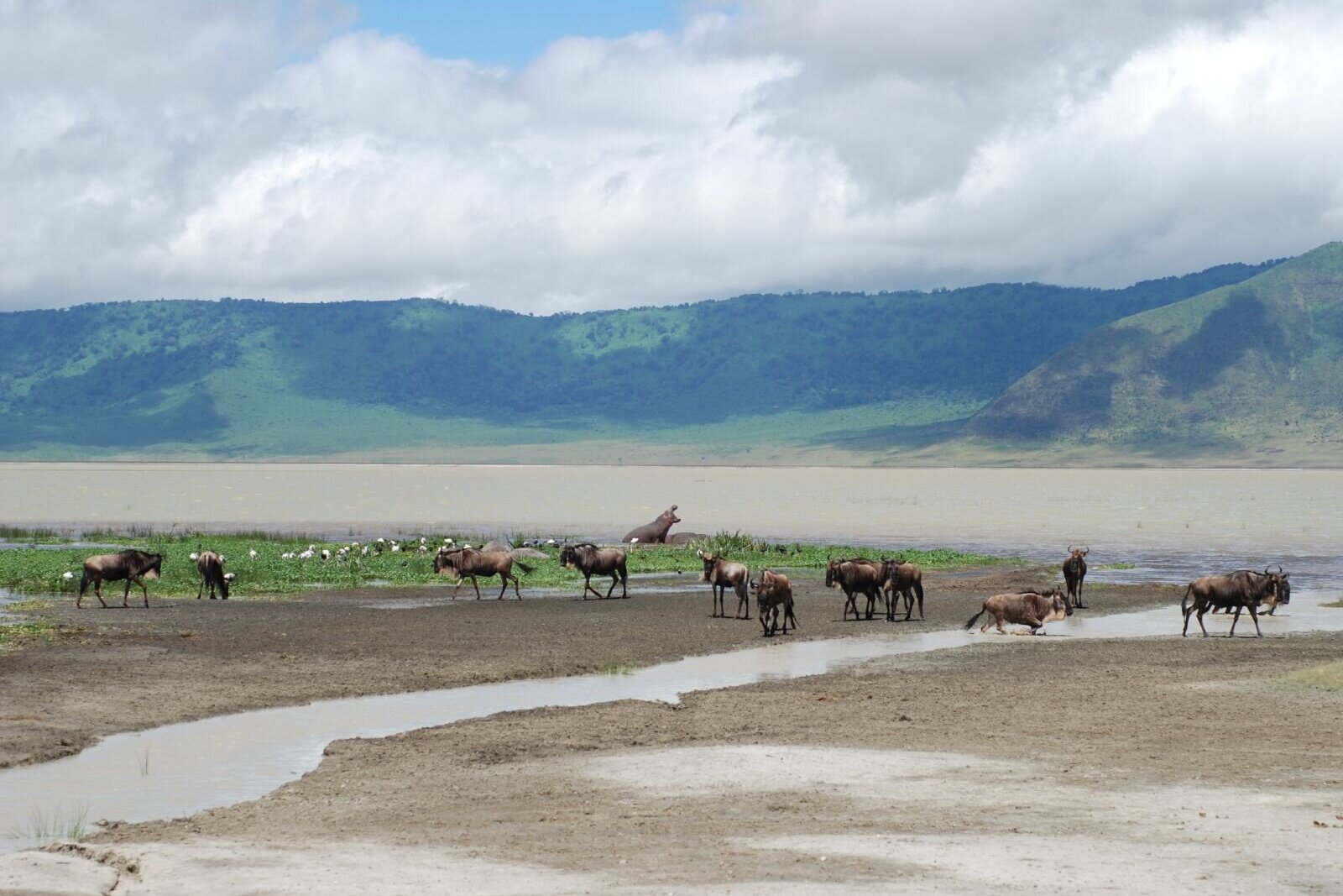 The wildlife-dotted floor of the Ngorongoro Crater seen from the rim, with water shining below