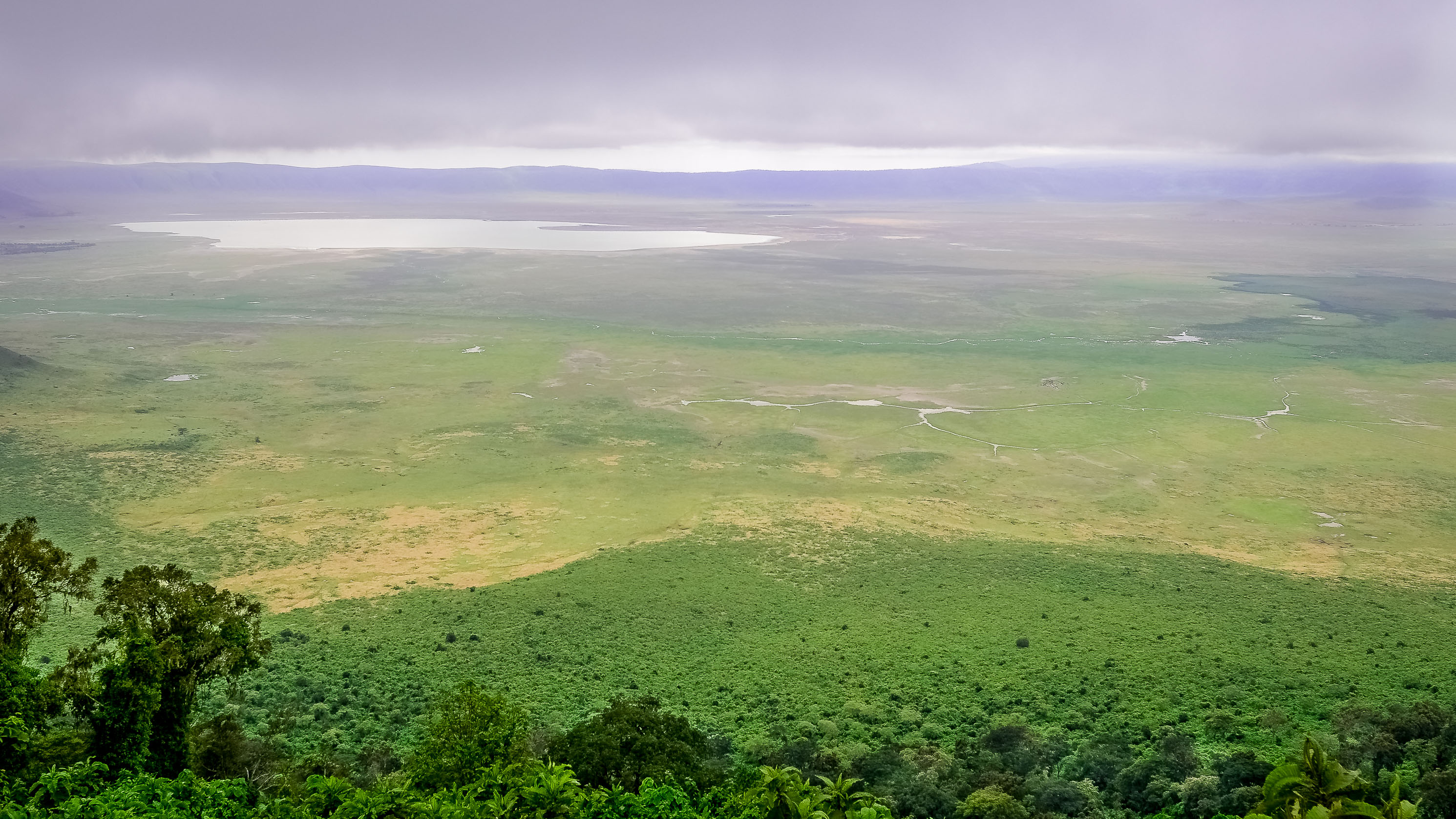 Aerial view of Ngorongoro Crater from the rim